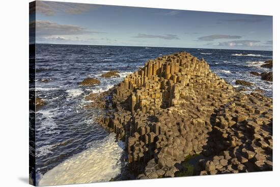 Giant's Causeway, UNESCO World Heritage Site, County Antrim, Ulster, Northern Ireland, United Kingd-Nigel Hicks-Stretched Canvas