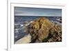 Giant's Causeway, UNESCO World Heritage Site, County Antrim, Ulster, Northern Ireland, United Kingd-Nigel Hicks-Framed Photographic Print