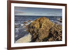 Giant's Causeway, UNESCO World Heritage Site, County Antrim, Ulster, Northern Ireland, United Kingd-Nigel Hicks-Framed Photographic Print