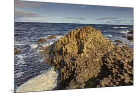 Giant's Causeway, UNESCO World Heritage Site, County Antrim, Ulster, Northern Ireland, United Kingd-Nigel Hicks-Mounted Photographic Print