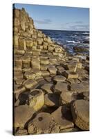 Giant's Causeway, UNESCO World Heritage Site, County Antrim, Ulster, Northern Ireland, United Kingd-Nigel Hicks-Stretched Canvas