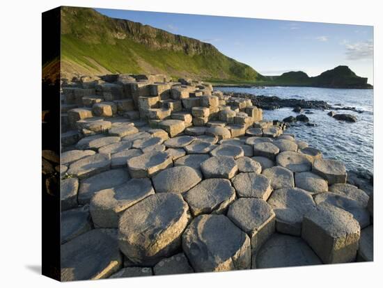 Giant's Causeway-Kevin Schafer-Stretched Canvas