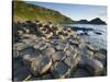 Giant's Causeway-Kevin Schafer-Stretched Canvas