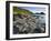 Giant's Causeway-Kevin Schafer-Framed Premium Photographic Print