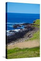 Giant's Causeway-zastavkin-Stretched Canvas