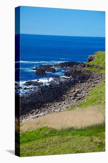 Giant's Causeway-zastavkin-Stretched Canvas