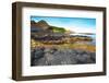 Giant's Causeway.-GoodOlga-Framed Premium Photographic Print