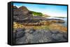 Giant's Causeway.-GoodOlga-Framed Stretched Canvas