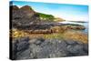 Giant's Causeway.-GoodOlga-Stretched Canvas
