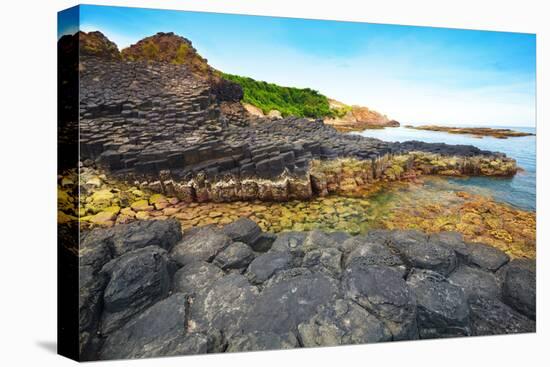 Giant's Causeway.-GoodOlga-Stretched Canvas