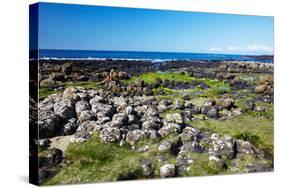 Giant’S Causeway-zastavkin-Stretched Canvas