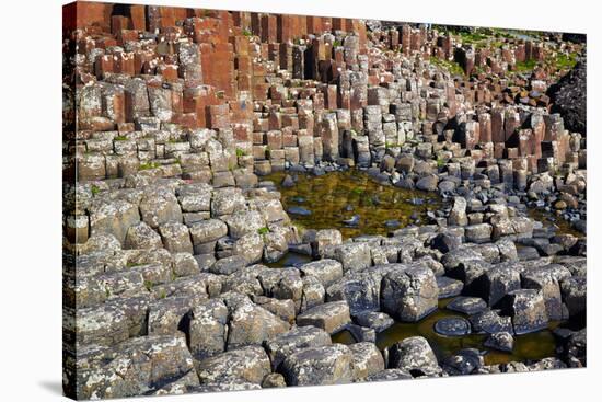 Giant’S Causeway-zastavkin-Stretched Canvas