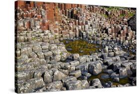 Giant’S Causeway-zastavkin-Stretched Canvas