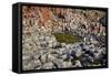 Giant’S Causeway-zastavkin-Framed Stretched Canvas