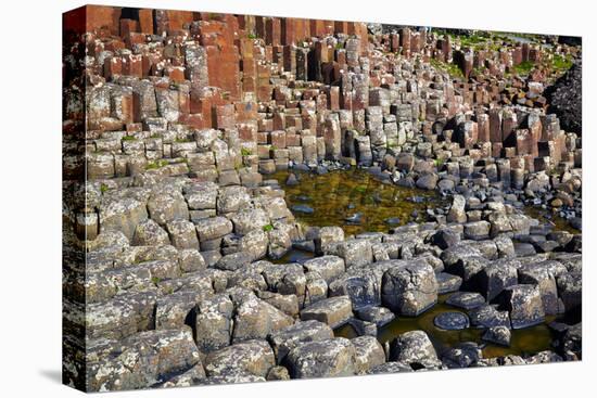 Giant’S Causeway-zastavkin-Stretched Canvas