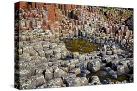 Giant’S Causeway-zastavkin-Stretched Canvas