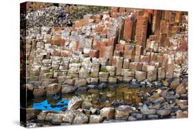 Giant’S Causeway-zastavkin-Stretched Canvas