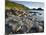 Giant's Causeway-Kevin Schafer-Mounted Photographic Print