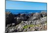 Giant’S Causeway-zastavkin-Mounted Photographic Print