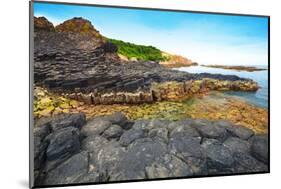 Giant's Causeway.-GoodOlga-Mounted Photographic Print