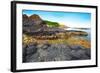 Giant's Causeway.-GoodOlga-Framed Photographic Print