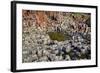 Giant’S Causeway-zastavkin-Framed Photographic Print