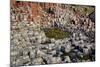 Giant’S Causeway-zastavkin-Mounted Photographic Print