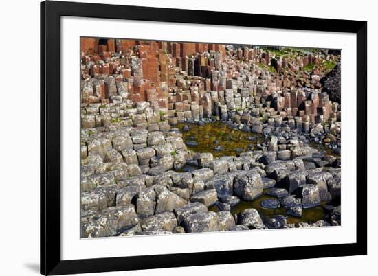 Giant’S Causeway-zastavkin-Framed Photographic Print