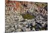 Giant’S Causeway-zastavkin-Mounted Photographic Print