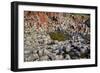 Giant’S Causeway-zastavkin-Framed Photographic Print