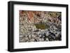 Giant’S Causeway-zastavkin-Framed Photographic Print