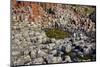 Giant’S Causeway-zastavkin-Mounted Photographic Print