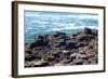 Giant’S Causeway-zastavkin-Framed Photographic Print