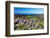 Giant’S Causeway-zastavkin-Framed Photographic Print