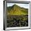 Giant's Causeway-phbcz-Framed Photographic Print