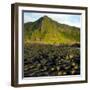 Giant's Causeway-phbcz-Framed Photographic Print