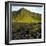 Giant's Causeway-phbcz-Framed Photographic Print