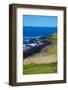 Giant's Causeway-zastavkin-Framed Photographic Print