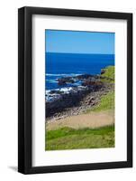 Giant's Causeway-zastavkin-Framed Photographic Print