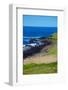 Giant's Causeway-zastavkin-Framed Photographic Print