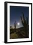 Giant Saguaro Cactus (Carnegiea Gigantea), Tucson, Arizona-Michael Nolan-Framed Photographic Print