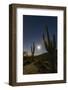 Giant Saguaro Cactus (Carnegiea Gigantea), Tucson, Arizona-Michael Nolan-Framed Photographic Print