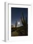 Giant Saguaro Cactus (Carnegiea Gigantea), Tucson, Arizona-Michael Nolan-Framed Photographic Print