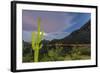 Giant saguaro cactus under full moon at Gates Pass in the Tucson Mountains, Tucson, Arizona, USA-Michael Nolan-Framed Photographic Print