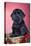 Giant Schnauzer in Christmas Basket-null-Stretched Canvas