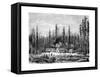 Giant Sequoia Forest, California, 19th Century-Paul Huet-Framed Stretched Canvas