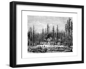 Giant Sequoia Forest, California, 19th Century-Paul Huet-Framed Giclee Print