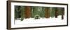 Giant Sequoia trees in a forest, Giant Forest, Sequoia National Park, California, USA-Panoramic Images-Framed Photographic Print