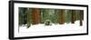 Giant Sequoia trees in a forest, Giant Forest, Sequoia National Park, California, USA-Panoramic Images-Framed Photographic Print