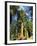 Giant Sequoia Trees, Mariposa Grove, Yosemite National Park, California, USA-Gavin Hellier-Framed Photographic Print